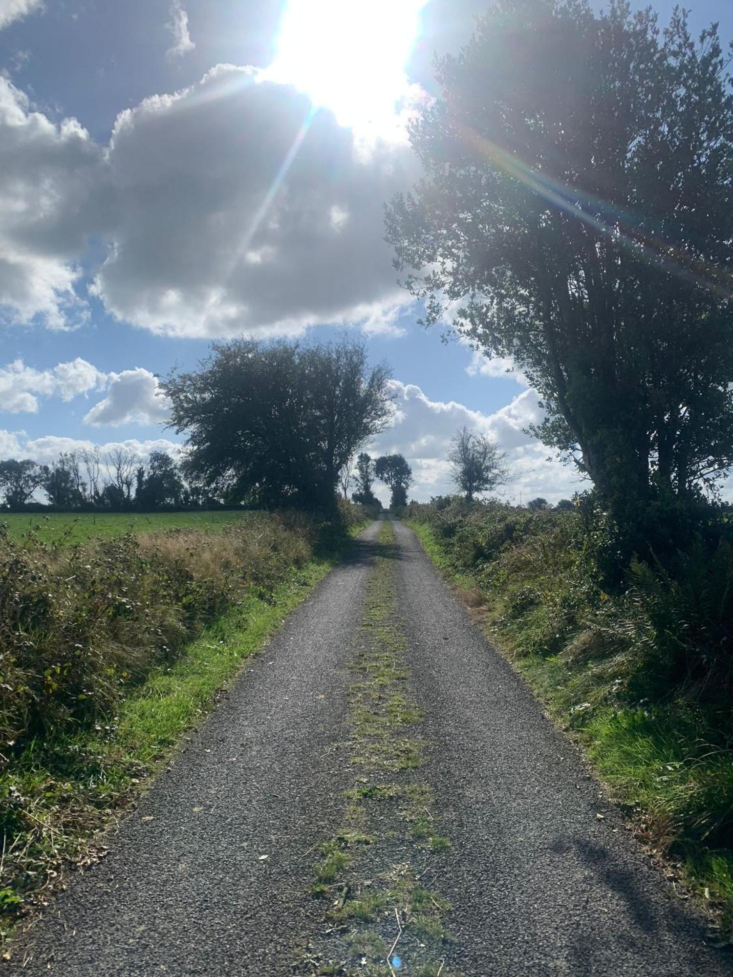 Country Haven Eircode H54 Ak31 Lägenhet Galway Exteriör bild